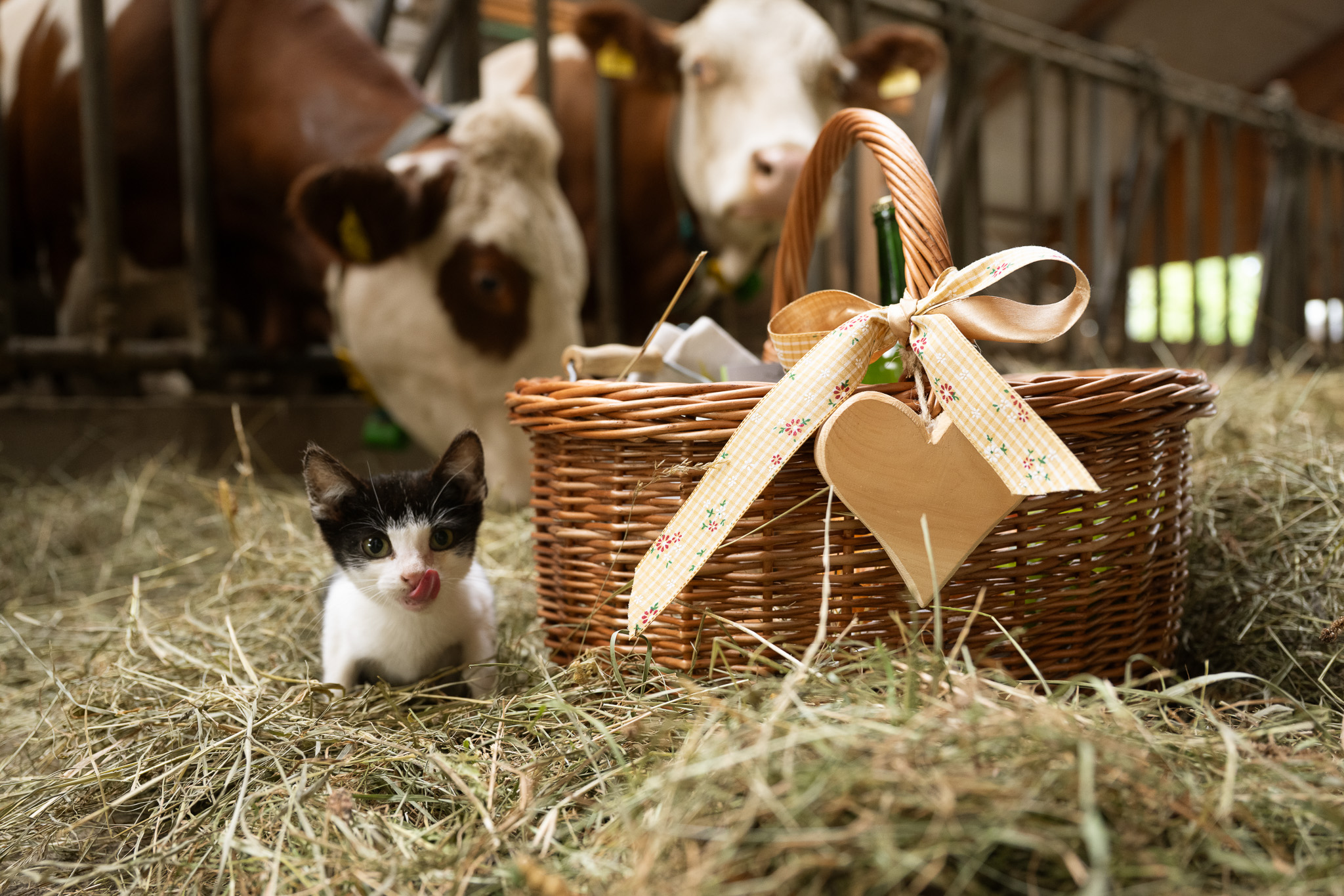 Frühstück mit hauseigenen Bio-Produkten am Feichtlhof